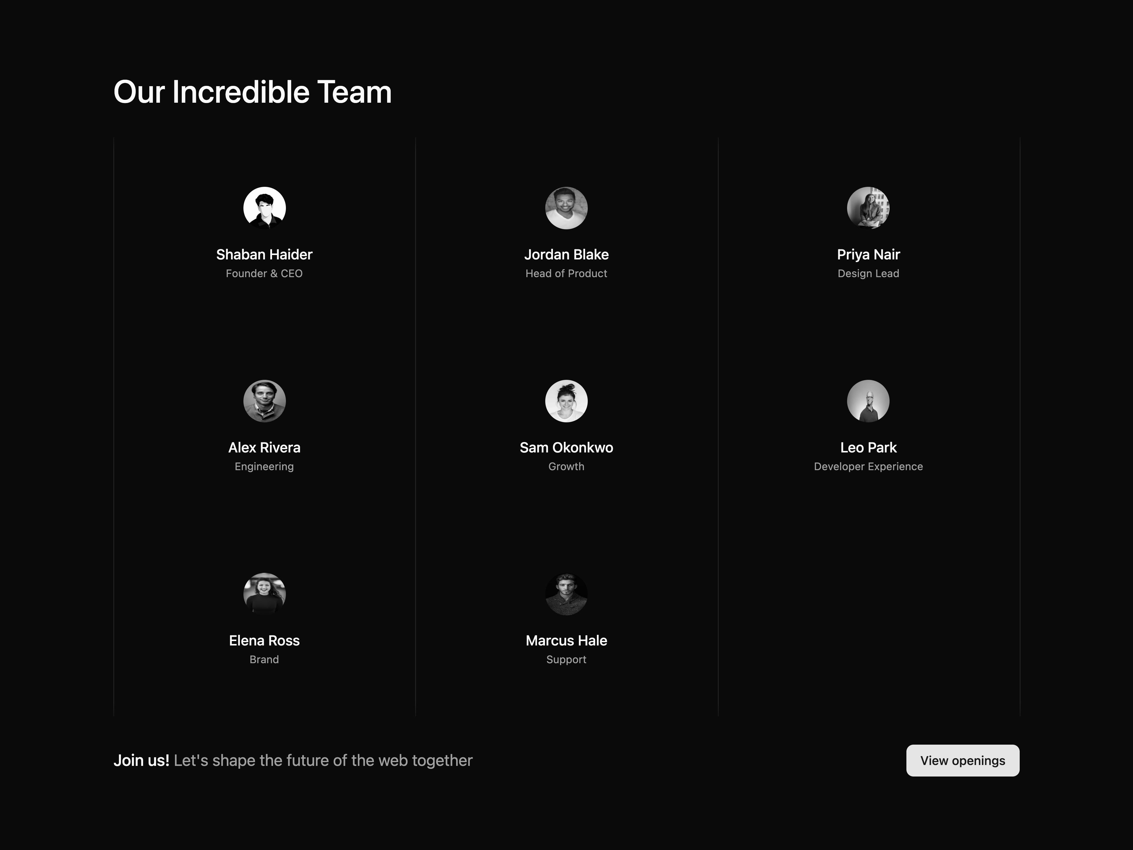 Team Section