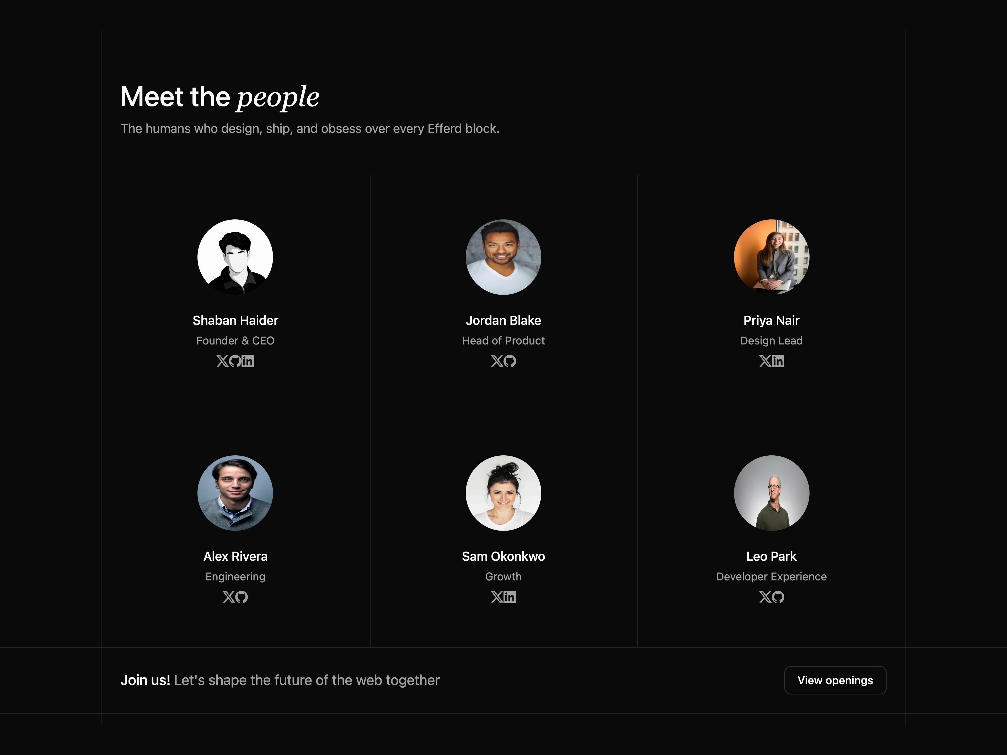 Team Section