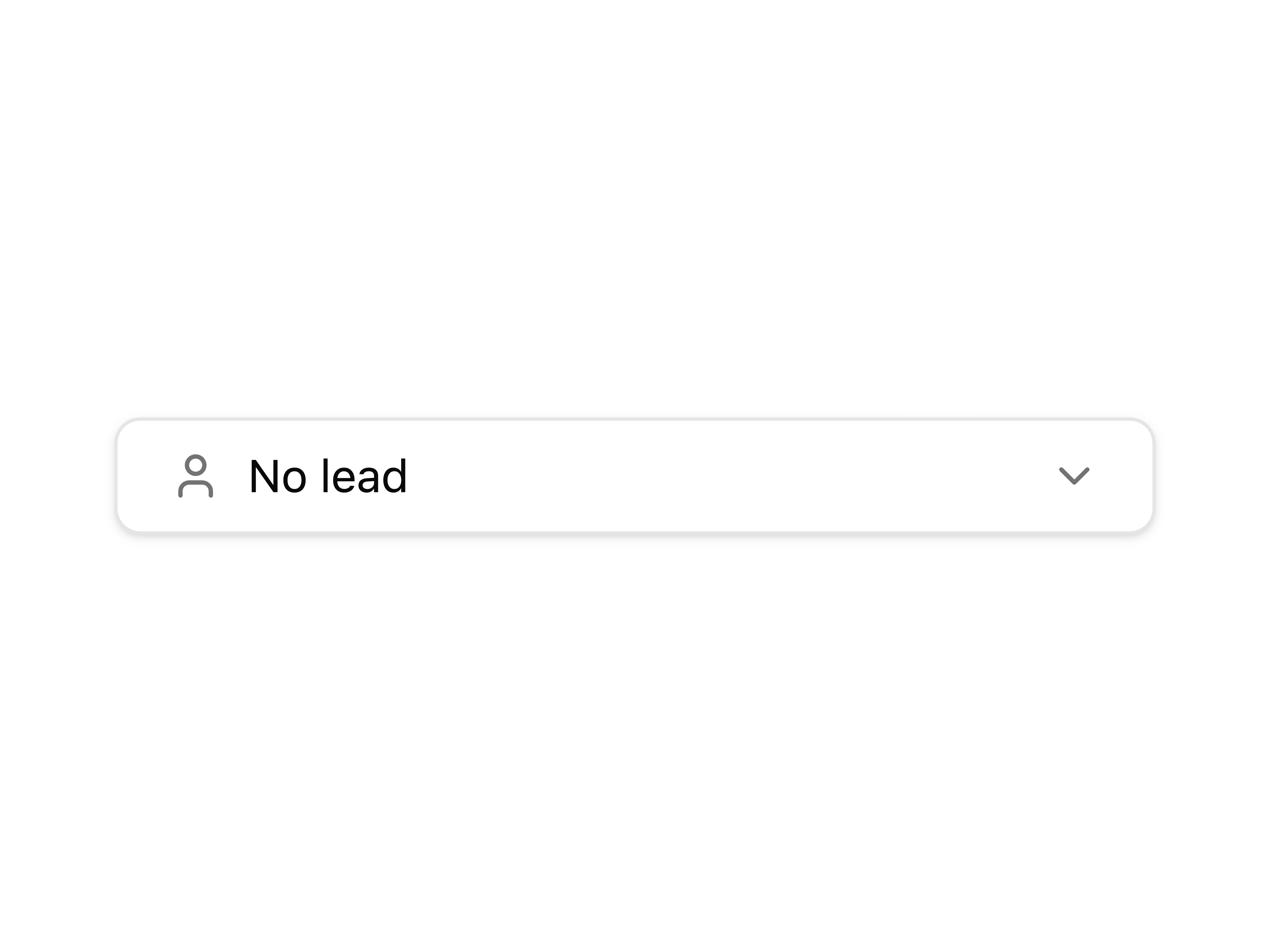 Lead Selection Combobox