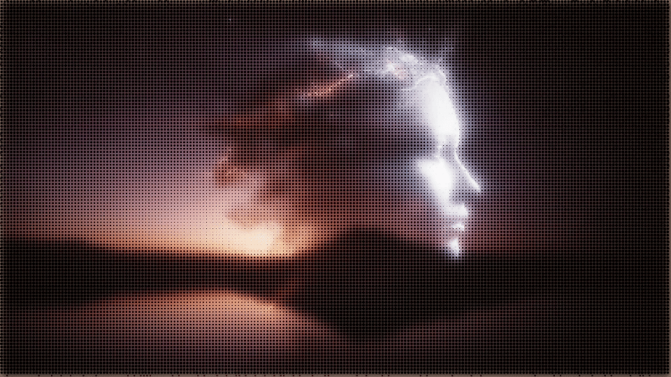 Vapor Halftone Portrait