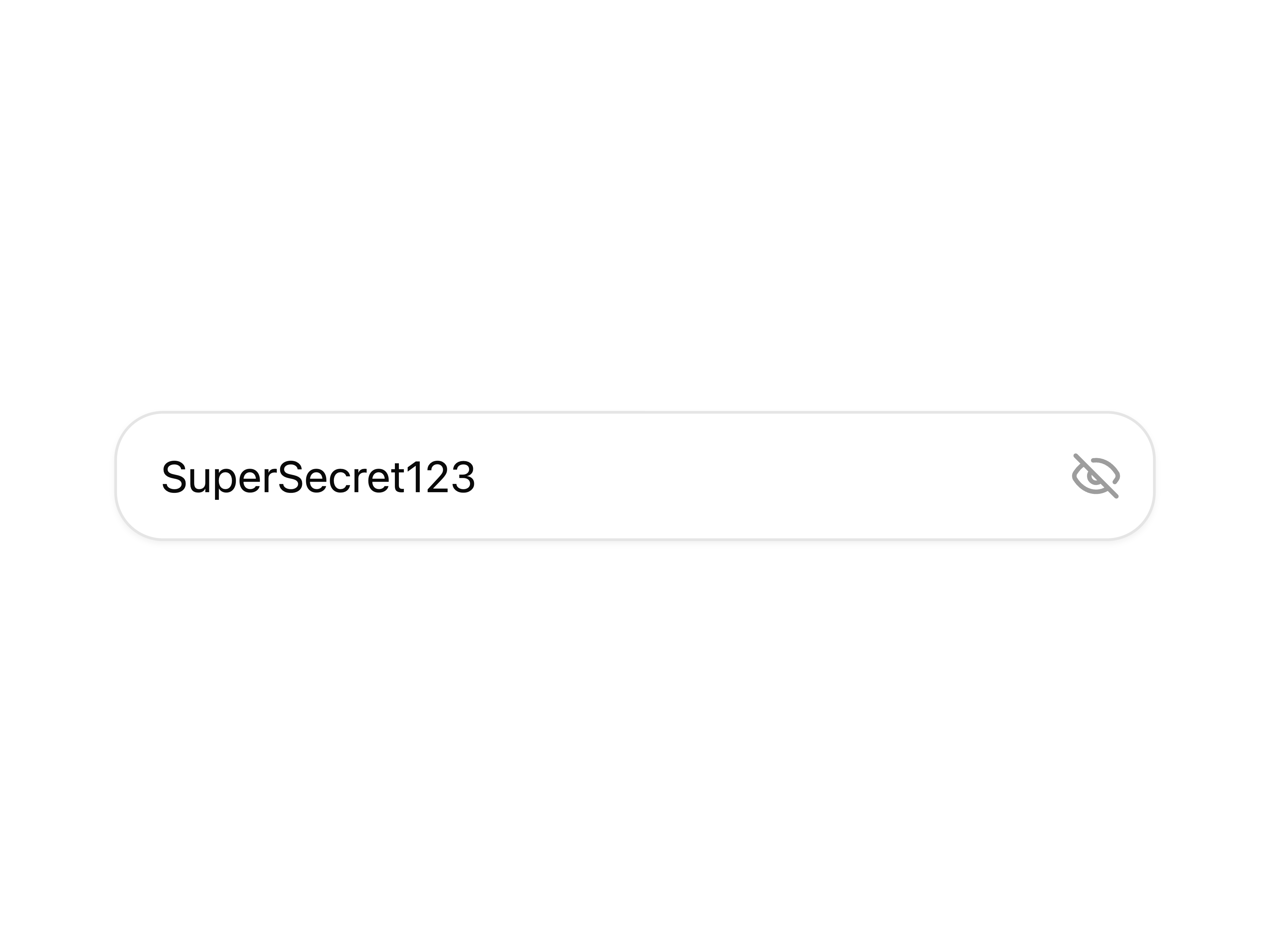 Password Input