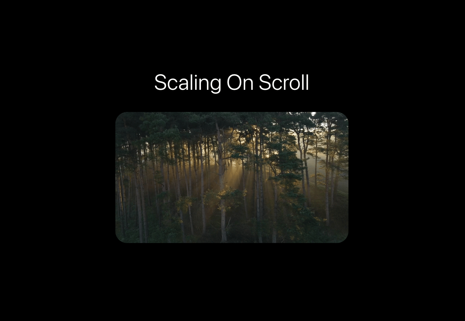 Scaling On Scroll