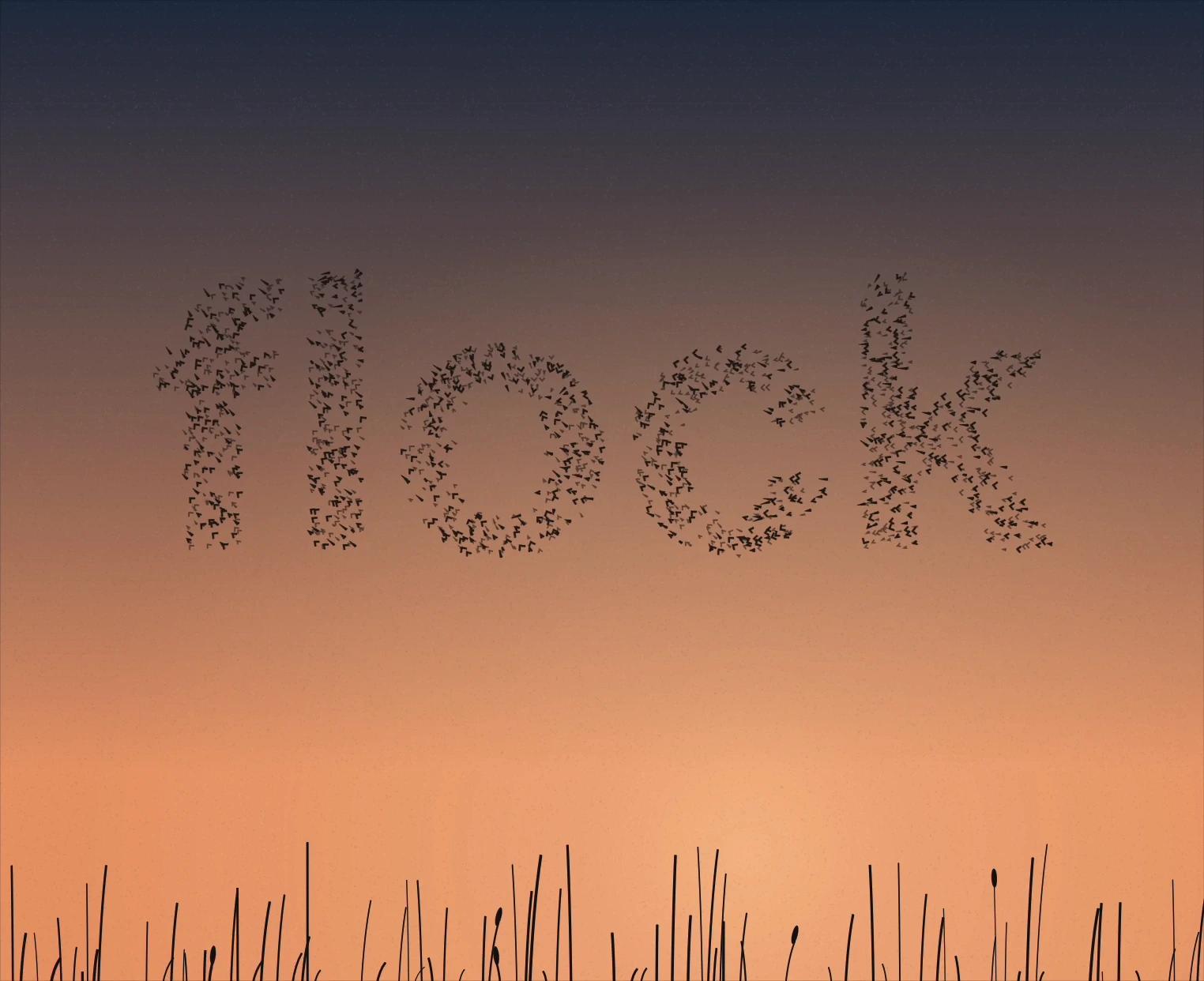 Bird Murmuration Text Animation