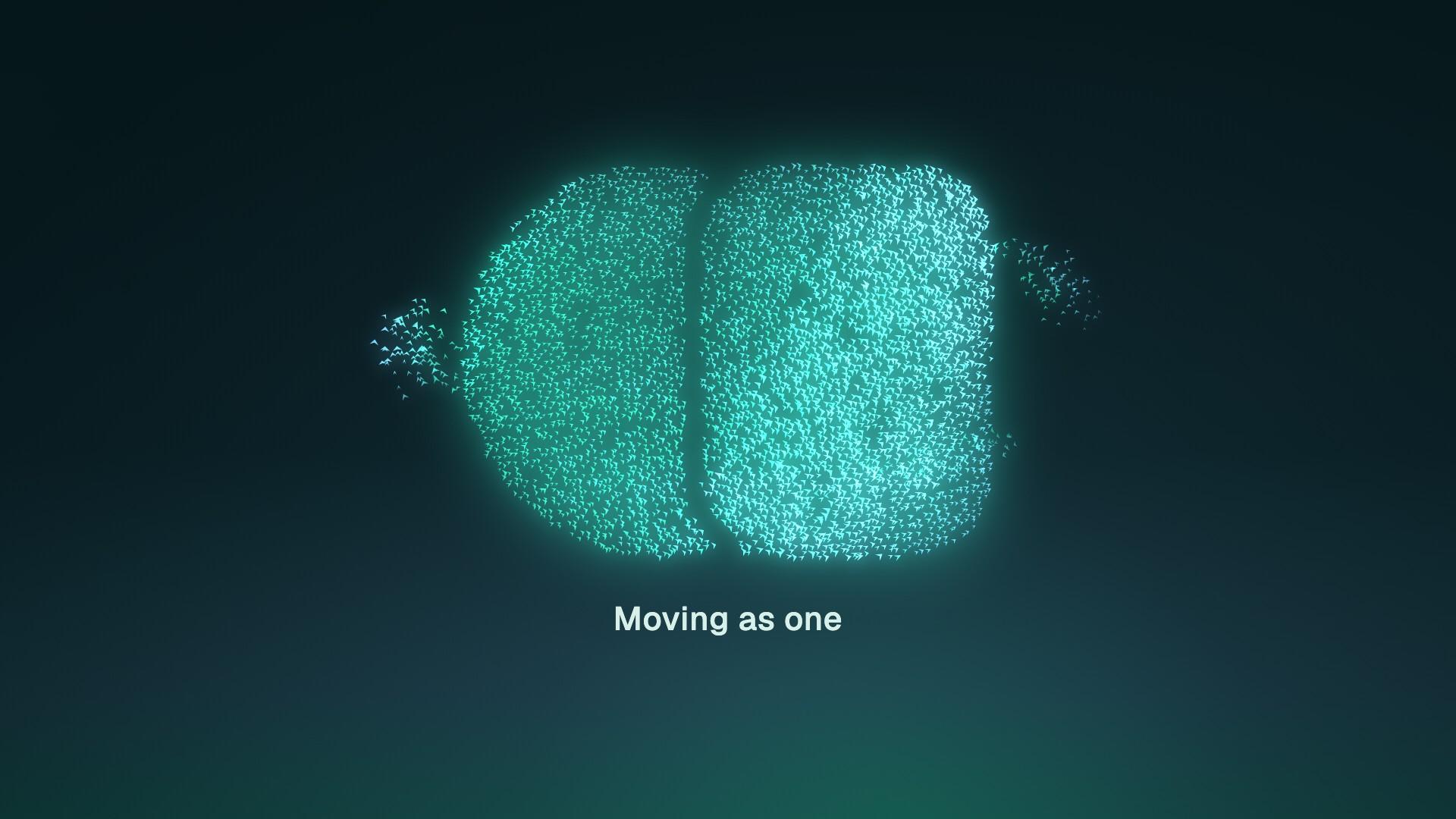 Murmuration preview
