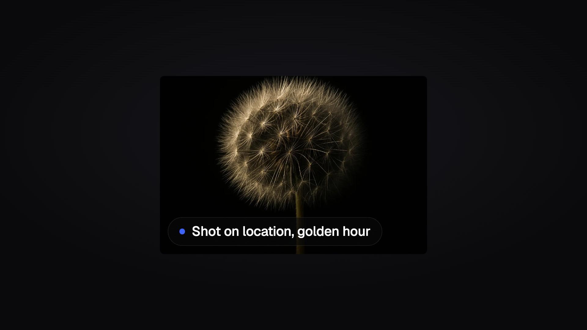 Photo Reveal preview