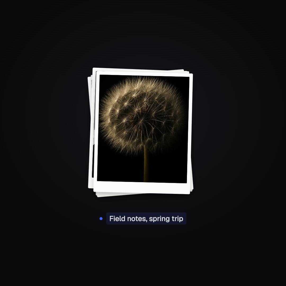 Photo Stack preview