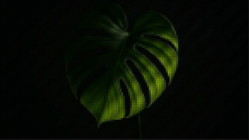 MOSAIC leaf