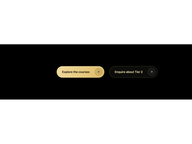 Gold Sheen Magnetic Button