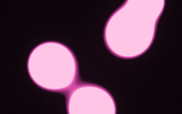 Pink Bubble — Paper component for React & Tailwind by Val