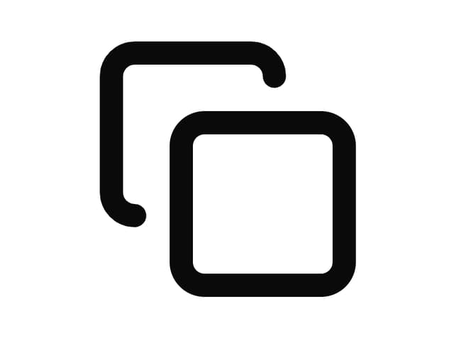 Copy Icon