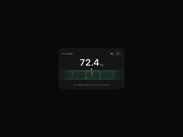 Ruler Picker — Picker component for React & Tailwind by ham7a311