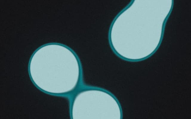 shader teal — Paper component for React & Tailwind by Carlos Mamille