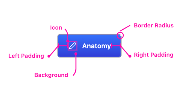anatomy button