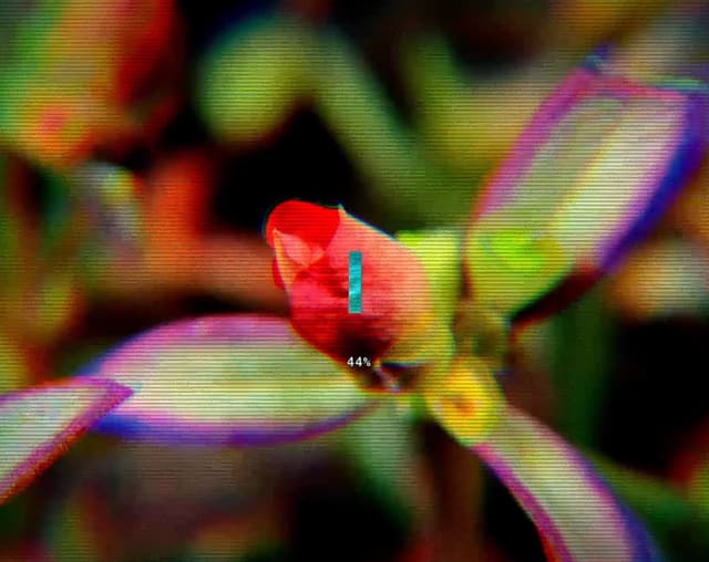 Chroma Glitch Preloader — Shader component for React & Tailwind by Kedhareswer Naidu