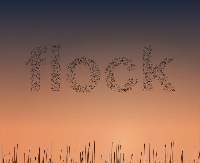 Bird Murmuration Text Animation — Background component for React & Tailwind by Kedhareswer Naidu