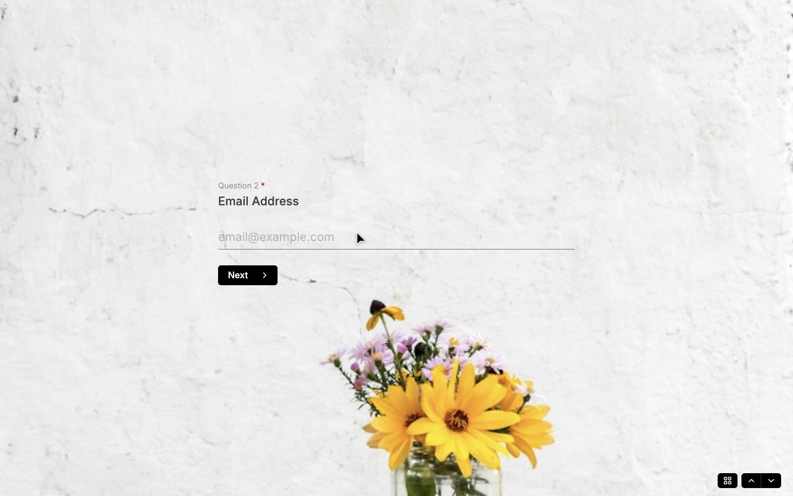 HeyForm: Open-Source Form Builder
